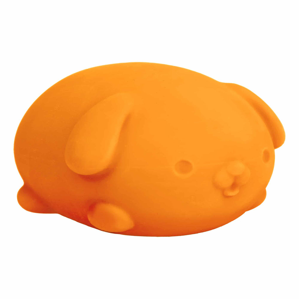 NeeDoh Funky Pup E7 - Orange
