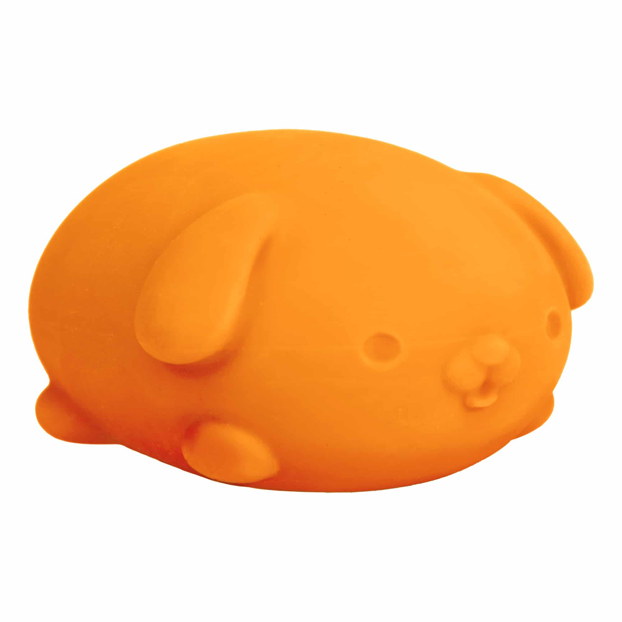 NeeDoh Funky Pup E7 - Orange