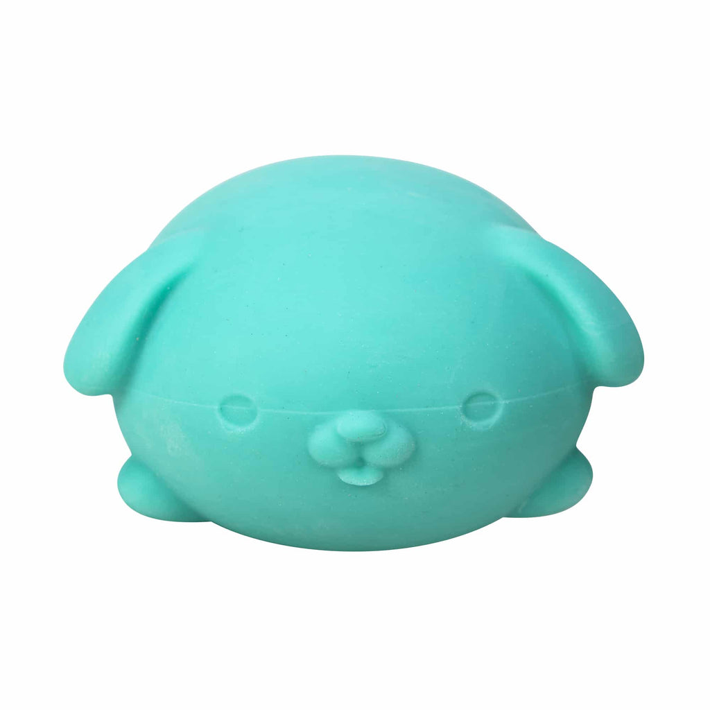 NeeDoh Funky Pup E7 - Teal Front