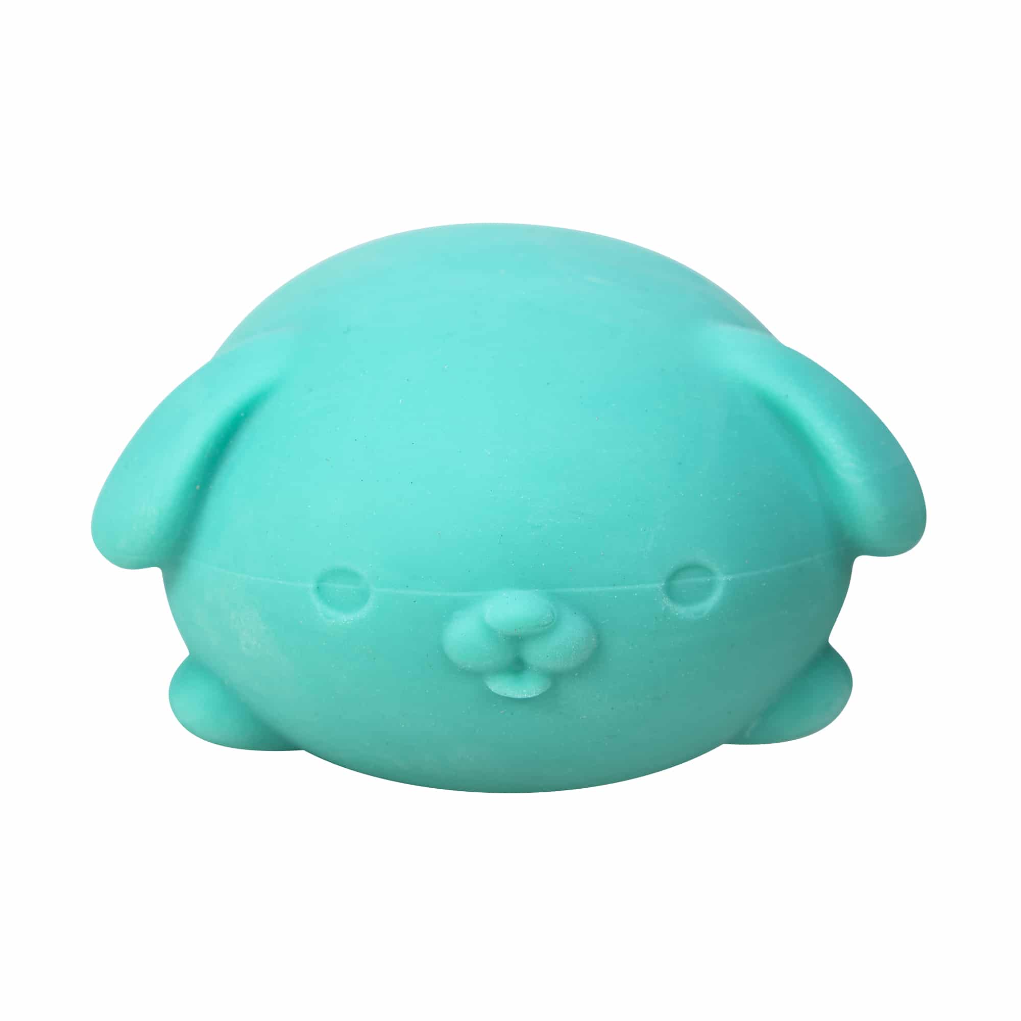 NeeDoh Funky Pup E7 - Teal Front